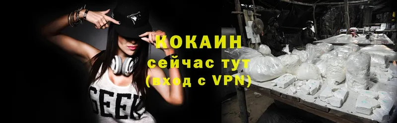 COCAIN VHQ Болотное